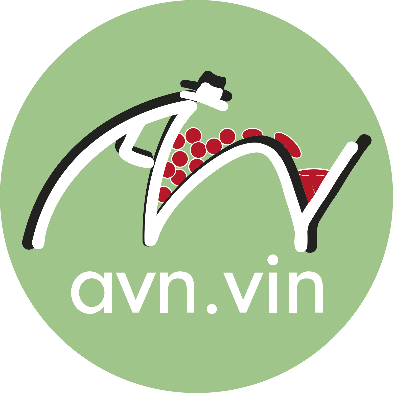 logo-avn.png
